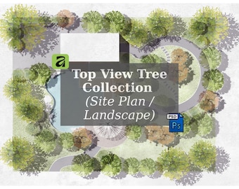 Top View Tree Collection - Lageplan & Landschaftsdesign (PSD)