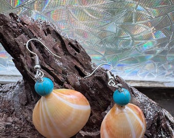 Shell earrings: tiger shell, turquoise bead, silver