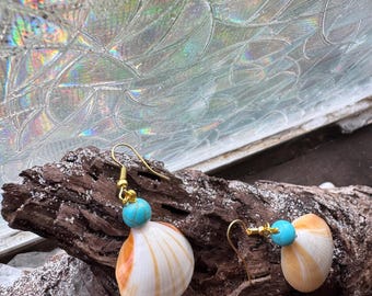 Shell earrings: tiger shell, turquoise bead, gold
