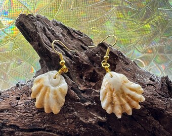 Shell earrings “Suns rays”