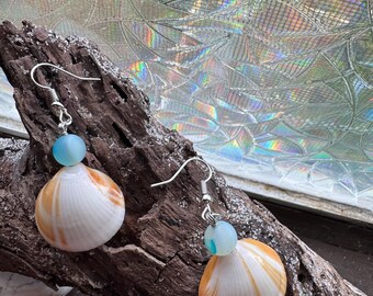 Shell earrings: tiger shell, blue/clear sea glass bead, silver