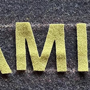 May include: The word "FAMILY" spelled out in yellow felt letters on a dark gray background.