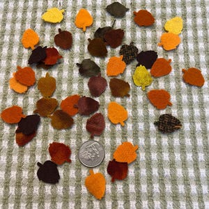 May include: A collection of felt leaves in various shades of orange, brown, and yellow. The leaves are scattered on a green and white checkered fabric.