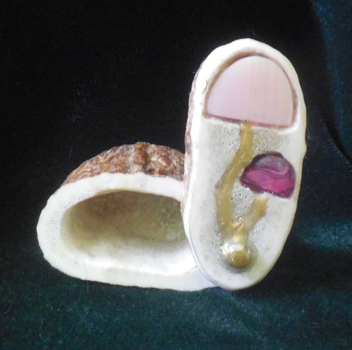 Fluss muschel rosa Abalone Muschel Pilz geschnitzt Cruelty | Etsy