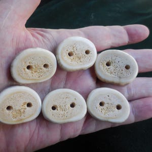 6 Deer Antler Buttons Matching Polished Cruelty Free Shed Deer Horn 2.7 x 2.2 x .7 cm 1 1/8"x7/8"x3/16" Leather Work Sewing Crafting Supply