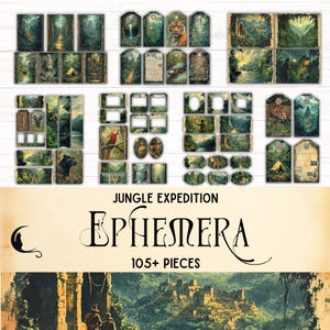 Kit de diario basura con efímeras para expediciones a la jungla, efímeras para aventuras en la selva tropical, kit de álbum de recortes, río Amazonas, animales salvajes, exploradores
