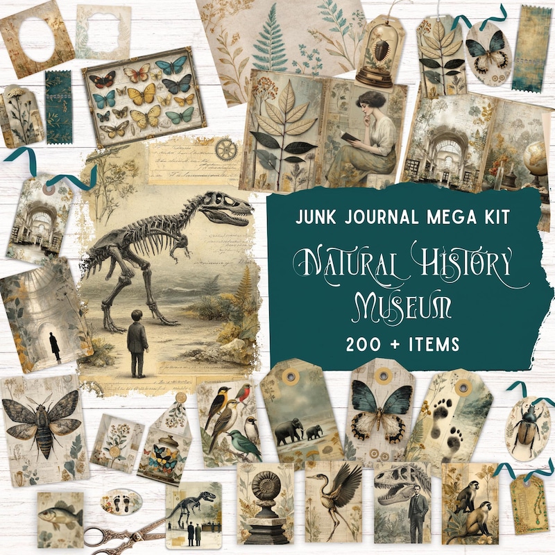 History Folio - Etsy