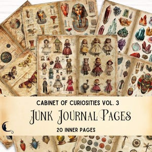 Cabinet of Curiosities Junk Journal Pages, Dark Academia, Spooky Vintage Ephemera, Natural History, Unique Crafting Supplies, Paper Crafts
