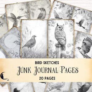 Kit de journal indésirable pour observateur d'oiseaux, éphémères d'oiseaux vintage, journal d'observation des oiseaux imprimable, fournitures de scrapbooking nature, croquis d'oiseaux noir et blanc