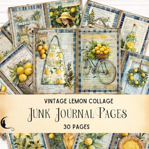 Kit de diario basura con limones, efímera digital imprimible, suministros para manualidades de verano, papel de álbum de recortes vintage, hoja de collage Shabby Chic con borde de tartán
