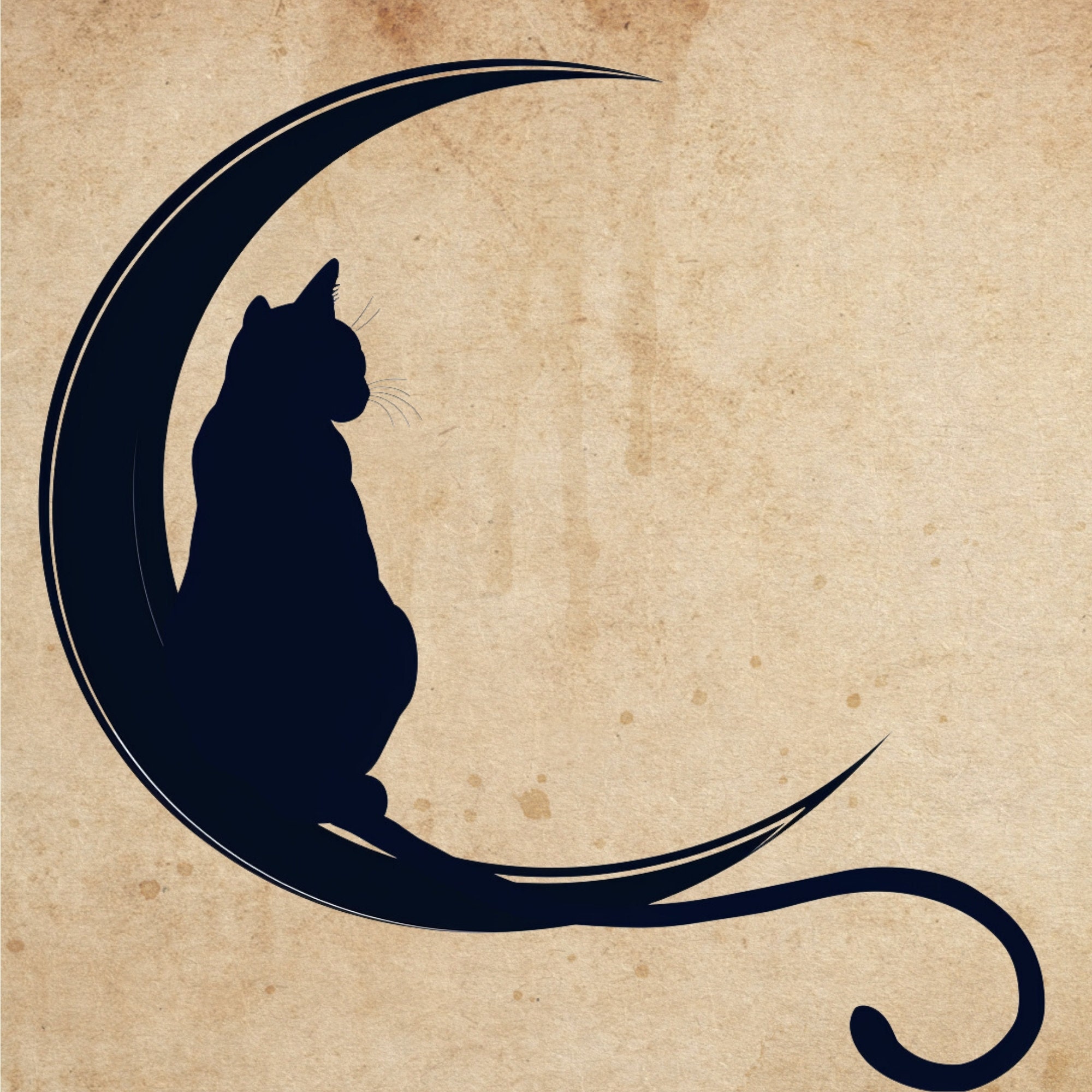 CatsCurioCreations
