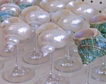 Customized Seashell Martini Glasses, Handmade Conch Cup, Shell Cup Bracket Goblet, Curly Shell Glasses, Wedding Anniversary Bridesmaid Gifts