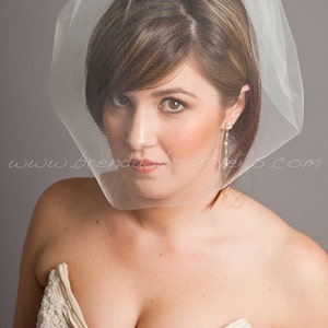 Tulle 17 Inch Bridal Birdcage Veil, Tulle Birdcage Blusher Veil