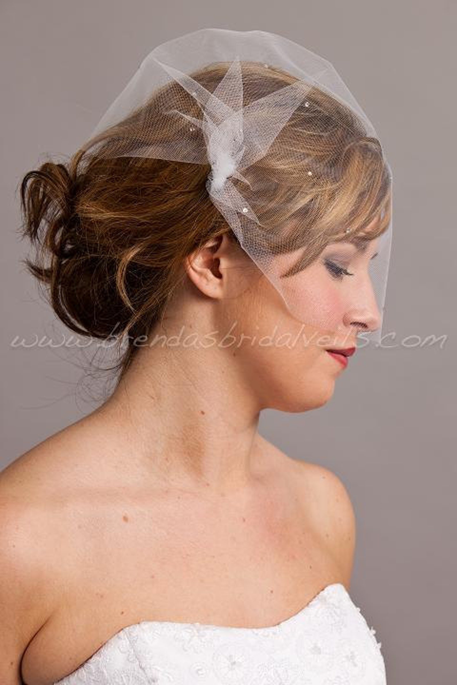 Tulle Bandeau Birdcage Veil With Swarovski Crystal Etsy