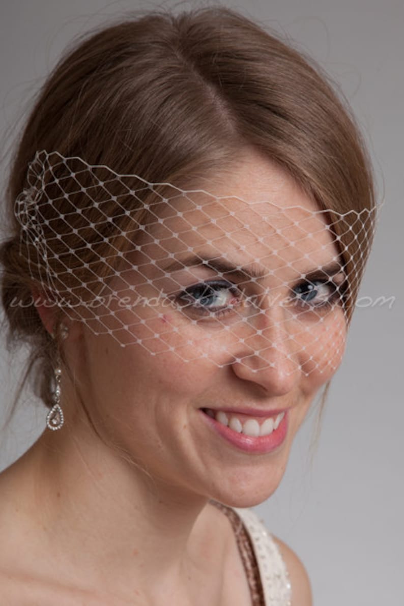 Birdcage Veil, Venetian Birdcage Veil, Bridal Veil, Wedding Veil, Mask Veil, Visor Veil, Bridal Hair image 1