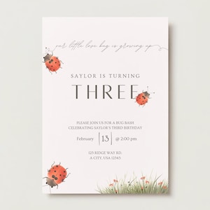 Our Little Love Bug Invitation, Ladybug Invitation Red, Baby Girl Birthday Invitation Pink, Simple Floral Ladybug Invitation For Girls