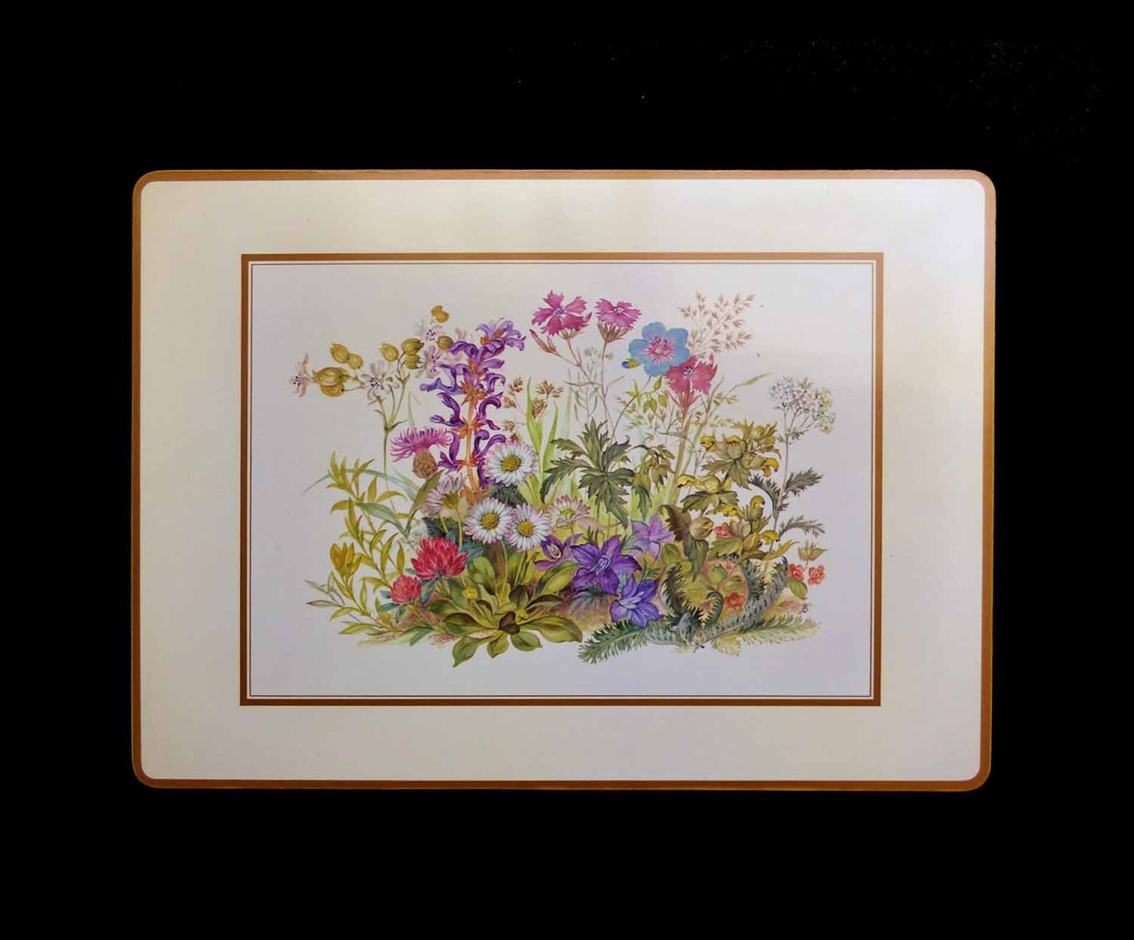 4 LRG Vintage Pimpernel Acrylic Placemats UK Meadow Flowers Etsy
