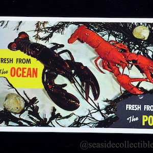 Fresco dall'oceano - Fresco dalla pentola Aragosta della costa del New Hampshire - Cartolina in plastica con cromo
