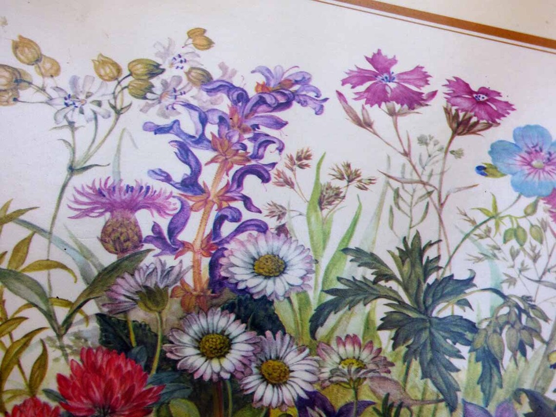 4 LRG Vintage Pimpernel Acrylic Placemats UK Meadow Flowers Etsy