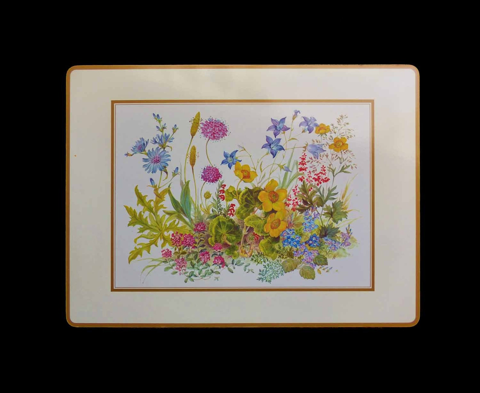 4 LRG Vintage Pimpernel Acrylic Placemats UK Meadow Flowers Etsy