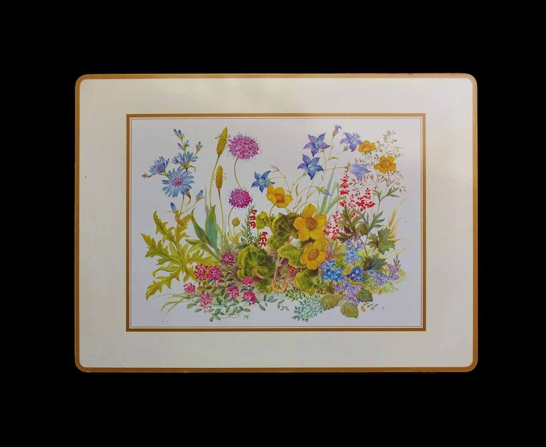 4 LRG Vintage Pimpernel Acrylic Placemats UK Meadow Flowers Etsy