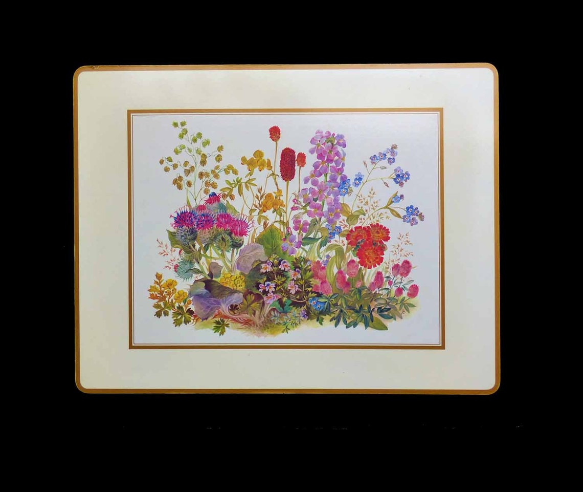4 LRG Vintage Pimpernel Acrylic Placemats UK Meadow Flowers Etsy