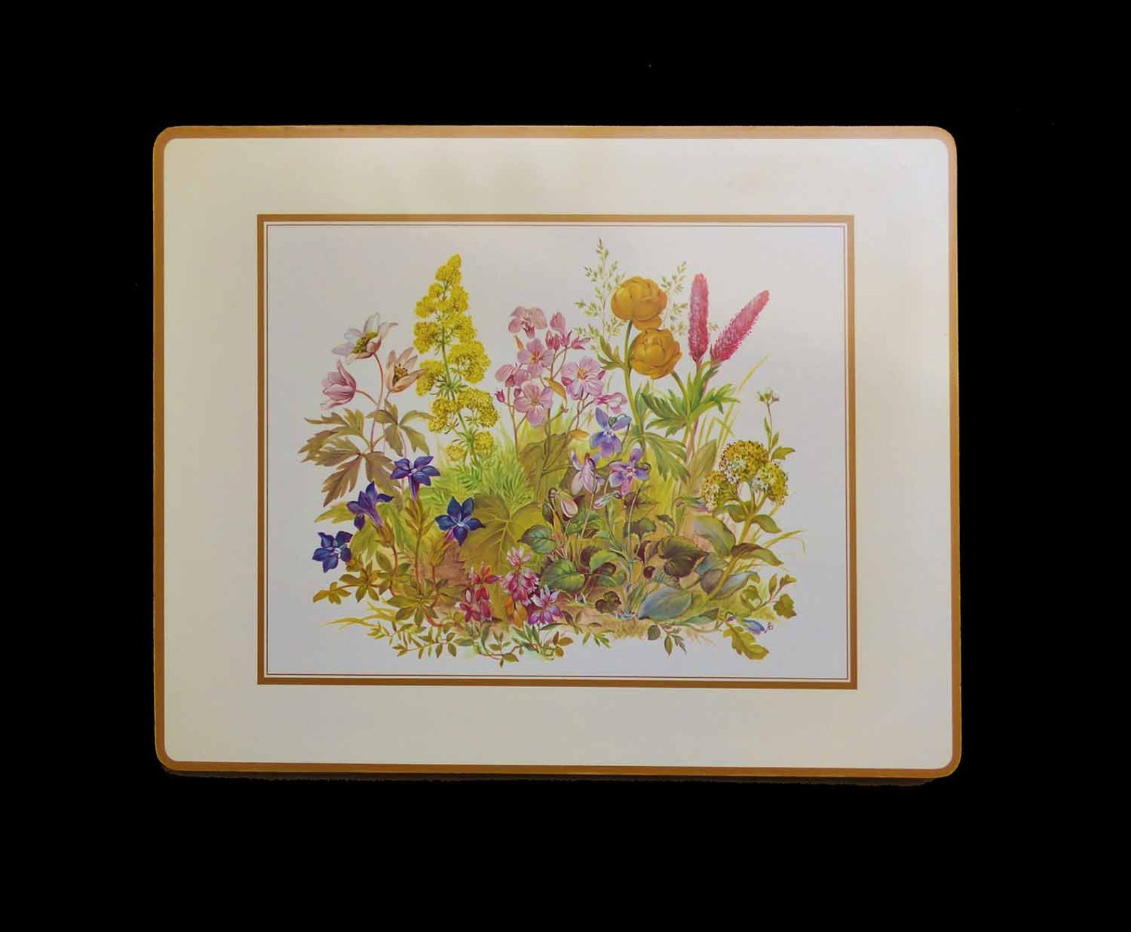 4 LRG Vintage Pimpernel Acrylic Placemats UK Meadow Flowers Etsy