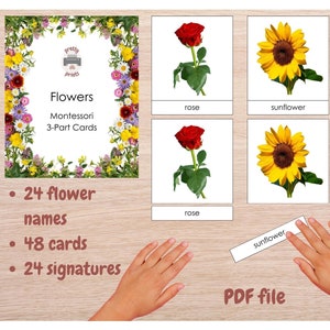 Montessori 3-Part Cards Flowers