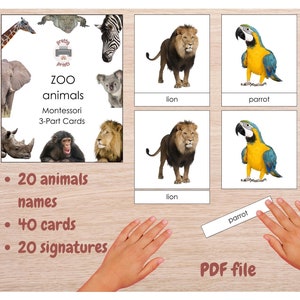 Montessori 3-Part Cards ZOO animals