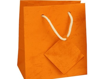 May include: Orange gift bag with a white rope handle and a blank orange tag attached.