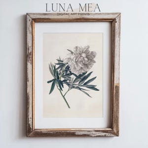 Vintage Peony Wall Art | Antique White Floral Botanical Art Print | Rustic Still Life | Farmhouse Cottage Wall Decor | Digital Download