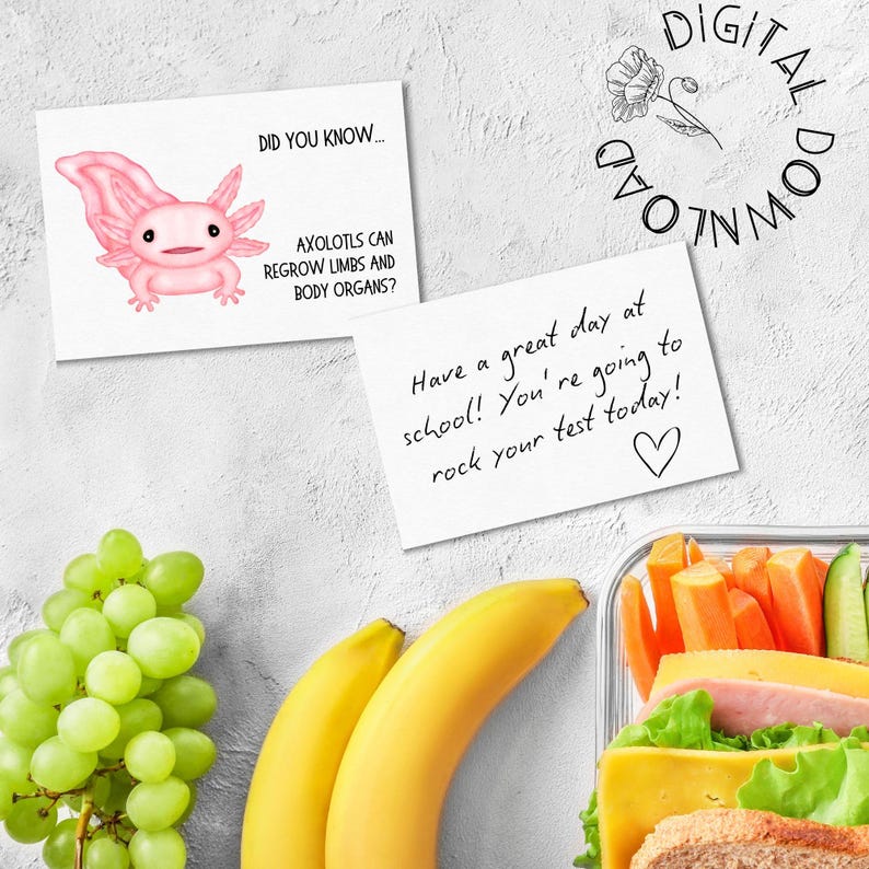 May include: Two printable cards with encouraging messages for a student. The first card features a pink axolotl with the text "Did you know... Axolotls can regrow limbs and body organs?" The second card has the text "Have a great day at school! You're going to rock your test today!" with a heart drawn at the bottom.