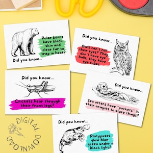 May include: A collection of educational cards with illustrations of animals, including a polar bear, owl, cricket, sea otter, and platypus. Each card features the phrase "Did you know..." followed by a fun fact about the animal. The cards are on a yellow background.