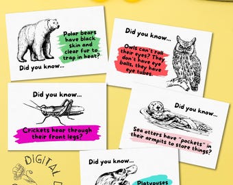24 Animal Facts Notes | Lunch Box Notes for Kids | Printable
