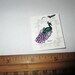 Susan Clarke Peacock Button BE 73