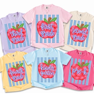 Comfort Colors® Personalized Striped Teacher Apple Shirt,Preppy Gingham Stripe Apple Grade, Back to School Apple, Any Custom Name or Grade