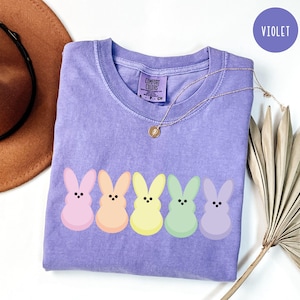 以下が含まれることがあります： 5匹のパステルカラーのウサギのグラフィックが並んだ、紫色のComfort ColorsのTシャツ。ウサギはピンク、オレンジ、黄色、緑、紫です。ペンダント付きのゴールドネックレスがシャツの上にかけられています。