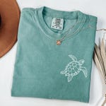 Turtle Accessories