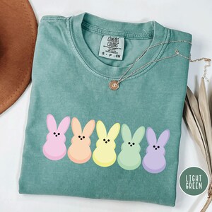以下が含まれることがあります： 5匹のカラフルなウサギのグラフィックが並んだ、ライトグリーンのComfort Colors Tシャツ。ウサギはピンク、オレンジ、イエロー、グリーン、パープルです。小さなペンダントが付いたシルバーのネックレスがシャツの上にかけられています。