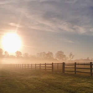 May include: A wooden fence with a gate in the foreground, with a field of grass and trees in the background. The sun is shining brightly in the sky, and there is a light fog in the air.