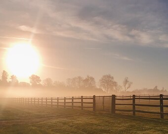 Sol de la mañana en el campo