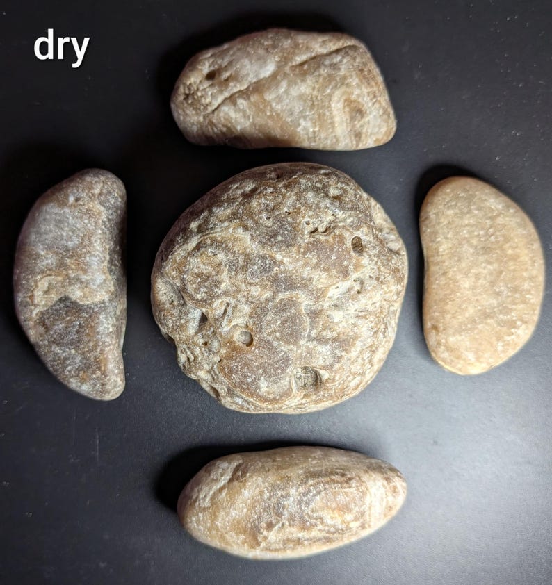 Puede incluir: Cinco piedras secas y lisas de diversas formas y tama&ntilde;os est&aacute;n dispuestas sobre una superficie oscura. Las piedras var&iacute;an en color desde el marr&oacute;n claro hasta el marr&oacute;n, con texturas y patrones visibles. La palabra "dry" est&aacute; en la esquina superior izquierda.