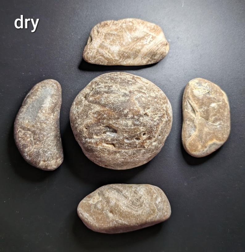 Puede incluir: Cinco piedras lisas y erosionadas de diversas formas y tama&ntilde;os est&aacute;n dispuestas sobre una superficie negra. Las piedras son principalmente tonos marrones y beige, con texturas y patrones visibles. La palabra "dry" est&aacute; en la esquina superior izquierda.
