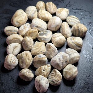 Pu&ograve; includere: Una collezione di ciottoli di fiume lisci, beige e marroni, con motivi a vortice unici. Le pietre variano in dimensioni e forma, creando un'estetica naturale. Ideale per scopi decorativi o artigianali.
