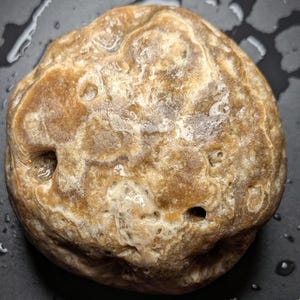 Puede incluir: Primer plano de una piedra redondeada de color marr&oacute;n claro con una superficie texturizada. La piedra tiene una variedad de colores, incluyendo beige y blanco, con varios agujeros peque&ntilde;os. La piedra est&aacute; mojada y hay gotas de agua alrededor.