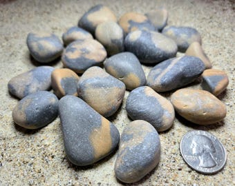 450 g di pietre da spiaggia naturali levigate dal mare, raccolte a mano, pietre di protezione, rocce da spiaggia della California meridionale, sfuse