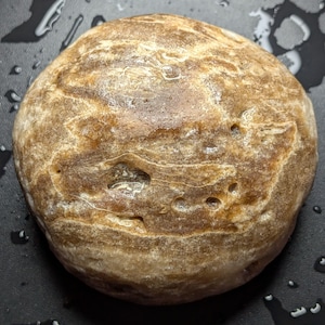 Puede incluir: Una piedra redondeada y lisa, con una combinaci&oacute;n de colores marr&oacute;n claro y beige. La piedra presenta un patr&oacute;n en capas con marcas naturales y peque&ntilde;os agujeros. La superficie parece ligeramente h&uacute;meda, reflejando la luz. Un objeto natural y terroso.