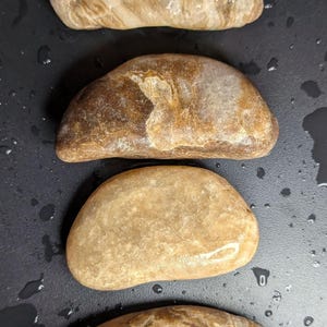 Puede incluir: Cuatro piedras lisas de forma ovalada en tonos beige y marr&oacute;n. Las piedras tienen patrones y texturas &uacute;nicos, con algunas que muestran estr&iacute;as en capas. Las piedras est&aacute;n dispuestas verticalmente sobre un fondo oscuro.