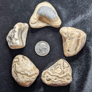 May include: Five polished stones with unique patterns in shades of beige, brown, and gray are arranged around a quarter. The stones vary in shape and size, showcasing natural textures and colors. The quarter provides a size reference.
