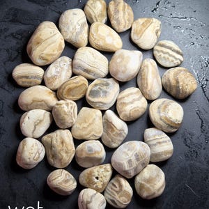 Pu&ograve; includere: Una collezione di ciottoli di fiume lisci, beige e marroni con motivi e trame uniche. Le pietre sono disposte su una superficie scura e bagnata. La parola "wet" &egrave; scritta in bianco in basso a sinistra dell'immagine.